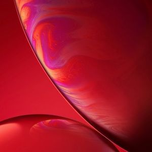 Meet your Posher, Richard